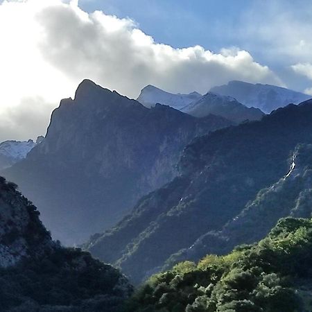 El Chalet De La Poza - Rio, Barbacoa, Wifi, Zona De Trabajo, Vistas. Lebena Exterior foto